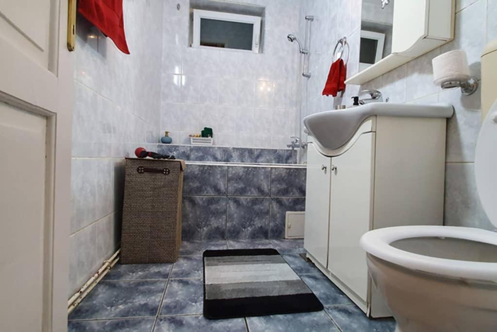 Titian'S Cozy Apartment Sibiu Dış mekan fotoğraf